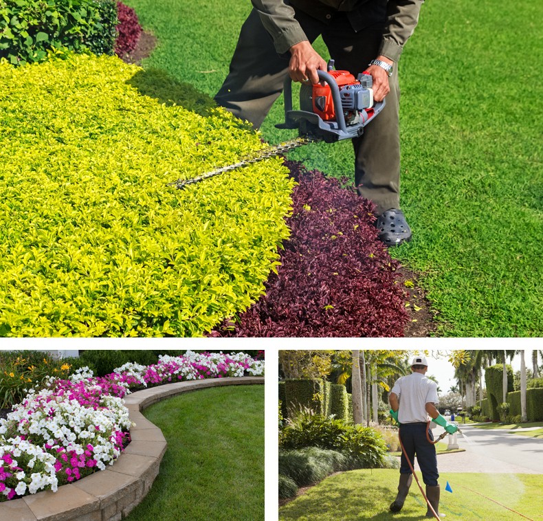 lawn care services in new braunfels tx