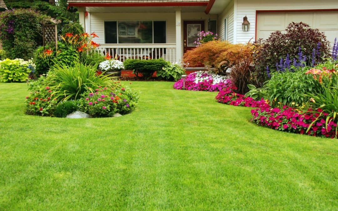 A&A Lawn Care Shares How You Can Maintain A Healthy And Lush Lawn!