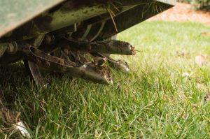 lawn aeration services